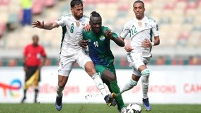 拜仁因球迷燃放烟火被罚，欧冠主场部分看台关闭（因球迷燃放烟花遭处罚，拜仁欧冠主场部分看台被封闭）